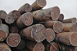 Zwiększył się import w Chinach drewna sapelli